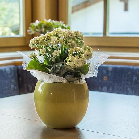Apartment Dolomites Nest 산 마르티노 인 바디아 외부 사진